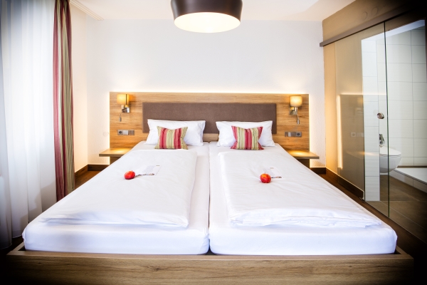 Hotel Widmanns Löwen